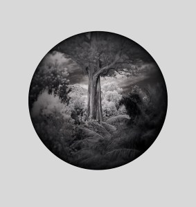 _1130411bot_gardens_MP1718new_darker